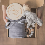 Newborn Elephant Bathroom Gift Set